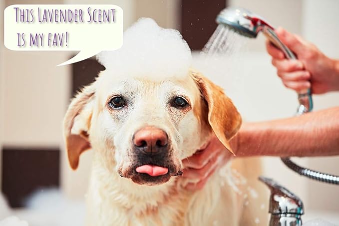 5-in-1 Dog Wash Moisturizing Lavender Shampoo, by Kira Labs 960ml/32fl