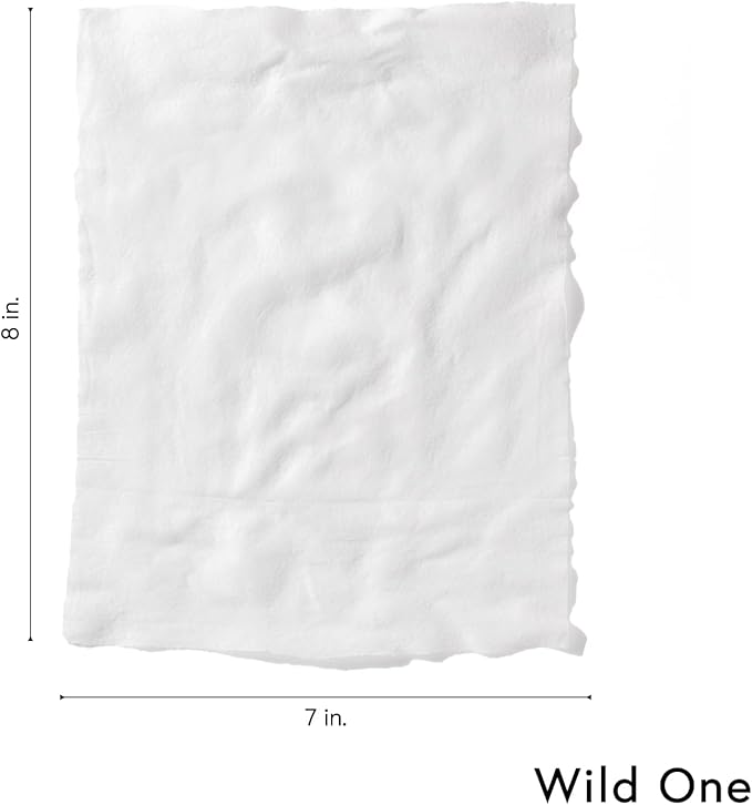 Wild One, Eucalyptus Natural Dog Grooming Wipes, Cruelty-free, resealable lid, 70 wipes per pouch, 210 Count