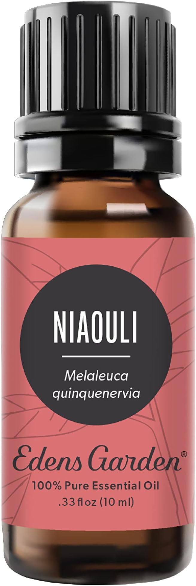 Edens Garden Niaouli Essential Oil- 100% Pure Premium Grade, Undiluted, Natural, Therapeutic, Aromatherapy, The Best for Diffuser, Skin, Candle, Humidifiers 10 ml (.33 fl oz)