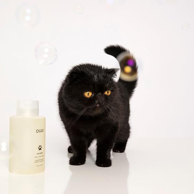 OUAI Fur Bébé Pet Shampoo, Mercer Street Scent - Dog Shampoo and Coat Wash for Hydrating, Cleansing and Adding Shine - Pet Supplies by OUAI (16 Fl Oz)