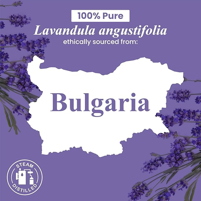 Handcraft Blends Lavender Essential Oil – 0.33 Fl Oz – 100% Pure and Natural – Premium Grade Essential Oil for Diffuser and Aromatherapy, Skin, Massage, Candle and Soap Making Fragrance