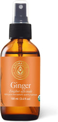 Aromatics International Ginger Hydrosol 100ml | Warm Aromatic Spray for Daily Use