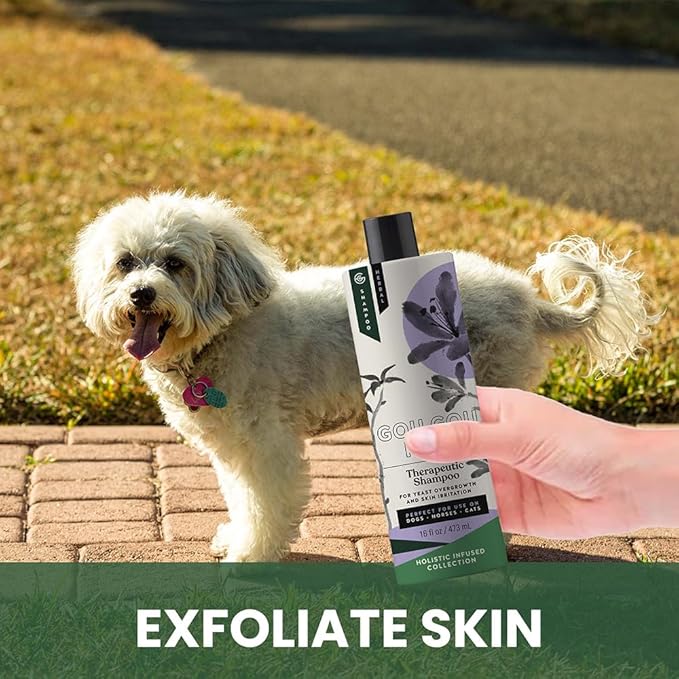 Holistic Natural Anti-Fungal Shampoo for Dogs, Cats & Horses: Veterinarian Recommended: Relieve Itching & Flaking Skin Caused by Fungal Infections & Skin Conditions - Made in USA - 16 oz