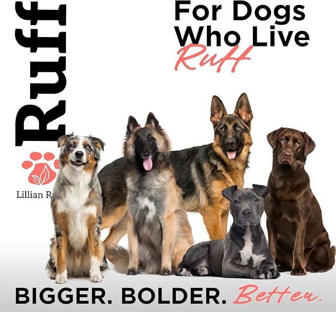 Ruff by Lillian Ruff No-Rinse Waterless Dog Shampoo Spray | Sandalwood Amber | Pet Deodorizer | for Cleaning, Conditioning, Detangling & Moisturizing Dogs & Cats | Safe for Puppies | USA Made