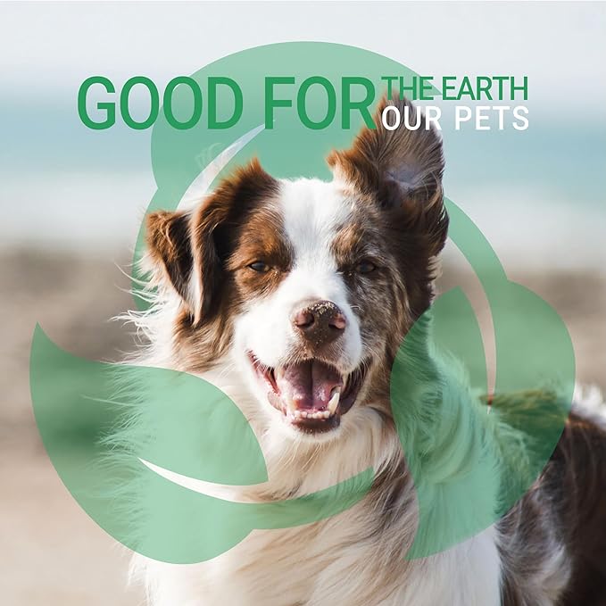 Green Groom Odor Eliminator Dog Shampoo, 16 oz - Crafted with Odortrol, All Natural Ingredients, Antioxidant Rich, Eliminates Smelly Pet Odors, Powerful Deodorizing Formula, Professional Grade