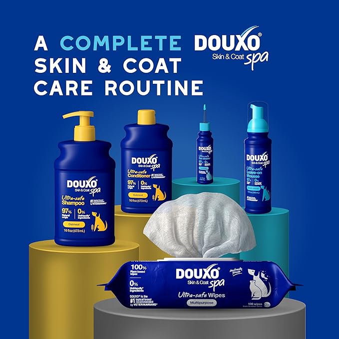 DOUXO® Skin & Coat SPA - Ultra-Safe Quick Refresh Leave-on Mousse for Dogs, 10 fl oz, Safely Cleans and Refreshes, Leaves The Coat Soft, Radiant and Smelling Great, Skin-Friendly Formula