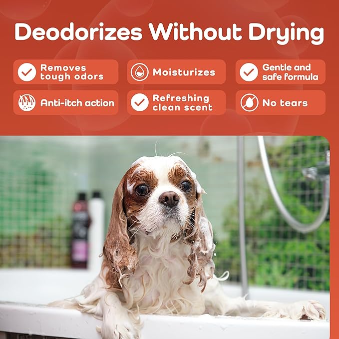 Sensitive Care -Tangle-Free-Silky Shine Softening and detangling Shampoo, Delicate Coat Clean & Odor Control Shampoo – Advanced Shine Formula for Dogs (Cavalier King Charles Spaniel, 16 Fluid Ounces)