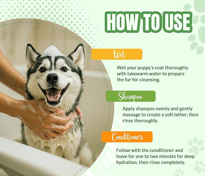 ALFIE'S CHOICE Fresh & Clean Dog Shampoo and Conditioner Set | 16 fl oz Each | Lavender & Rosemary | Deep Cleansing for Smelly Dogs | Deodorizing & Odor Control