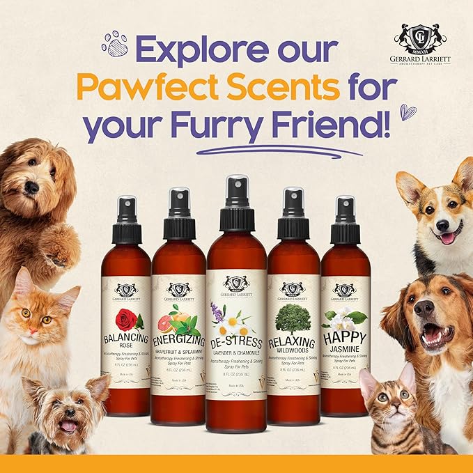 Dog Perfume Spray Long Lasting Relaxing Wildwoods 8 Fl Oz - Dog Calming Spray Scent Mist for Shining Fur, Puppy Cologne, Doggie Deodorant Fragrance Mist Pet Perfume for All Breeds by Gerrard Larriett