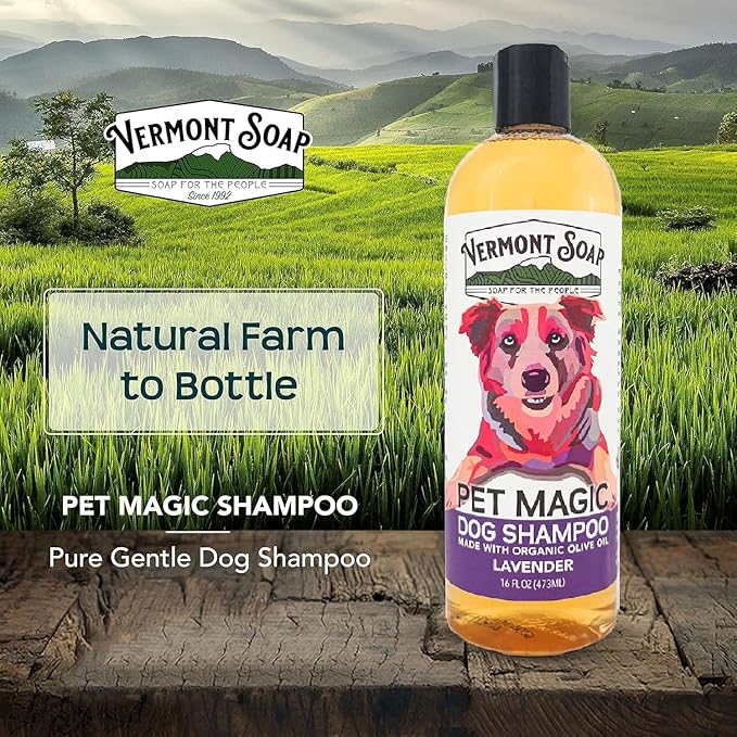VERMONT SOAP Organics Pet Shampoo - Infused with Organic & Natural Olive Oil, Coconut & Aloe Vera Dog Shampoo for Sensitive Skin - USDA Certified Grooming Pet Shampoo - Lavender (16oz)