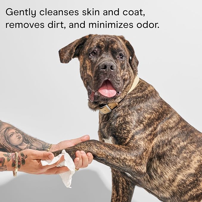 Wild One, Eucalyptus Natural Dog Grooming Wipes, Cruelty-free, resealable lid, 70 wipes per pouch, 210 Count