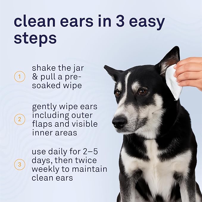 Petpost Large Dog Ear Cleaner Wipes | Ultra Soft XL Cotton Pads in Coconut Oil Aloe Solution | Remedy for Dog Ear Rinse & Cleanser 60 ct.