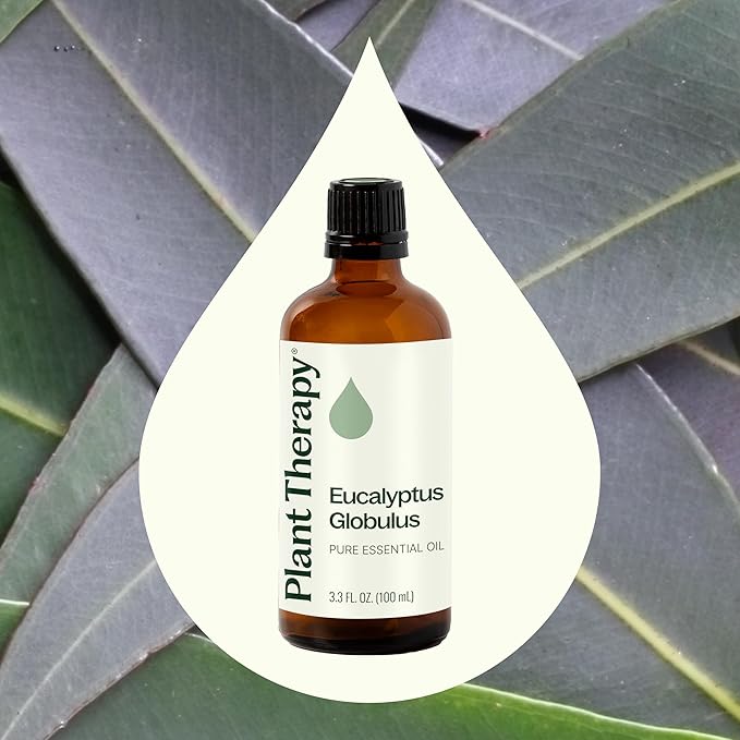 Plant Therapy Eucalyptus Globulus Essential Oil 100 mL (3.3 oz) for Diffuser, Skin, Hair, Aromatherapy DIYs, and Clear Breathing, 100% Pure, Undiluted, Therapeutic Grade