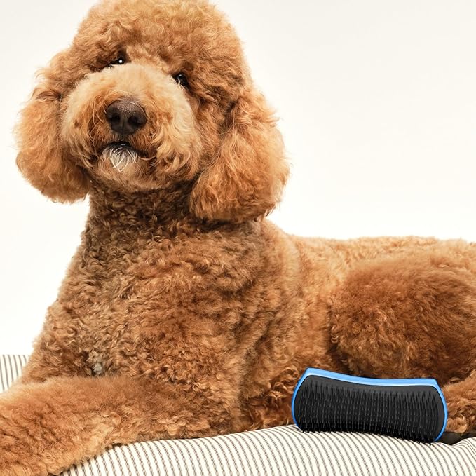 Pet Teezer Detangling Dog Grooming Brush, Dog Bath Brush for Long Haired Breeds and Wet or Dry Fur, Large, Blue & Grey