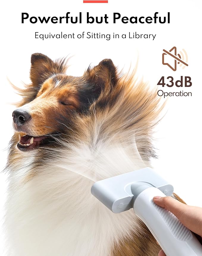 HomeRunPet Dog Dryer, Pet Hair Dryer with 99 Adjustable Wind Speed and Temperature Control, 3 Different Nozzles, Quiet Dog Blow Dryer, Professional Pet Hair Drying for Dogs