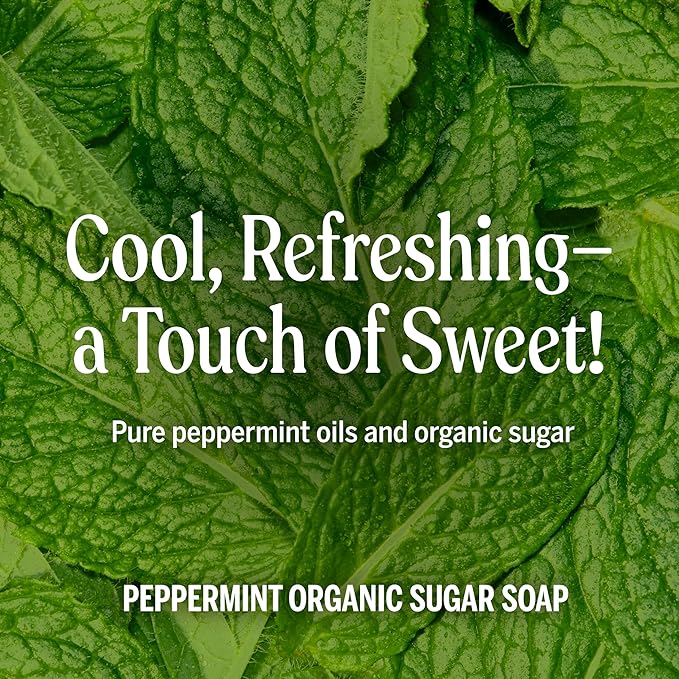 Dr. Bronner's Organic Sugar Soap (Peppermint, 64 Ounce)- Made with Organic Oils, Sugar & Shikakai Powder, 4-in-1 Uses: Hand and Body Wash, Face, Hair- Cleanses, Moisturizes, Nourishes, Vegan