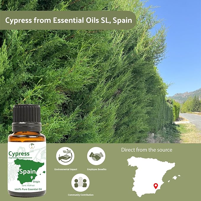 Cypress Essential Oil - Direct from Essential Oils SL in Mediterranean Spain - Aceite de Ciprés for Diffuser, 100% Pure Therapeutic Grade - Aromatheraphy, Skincare (22lbs)